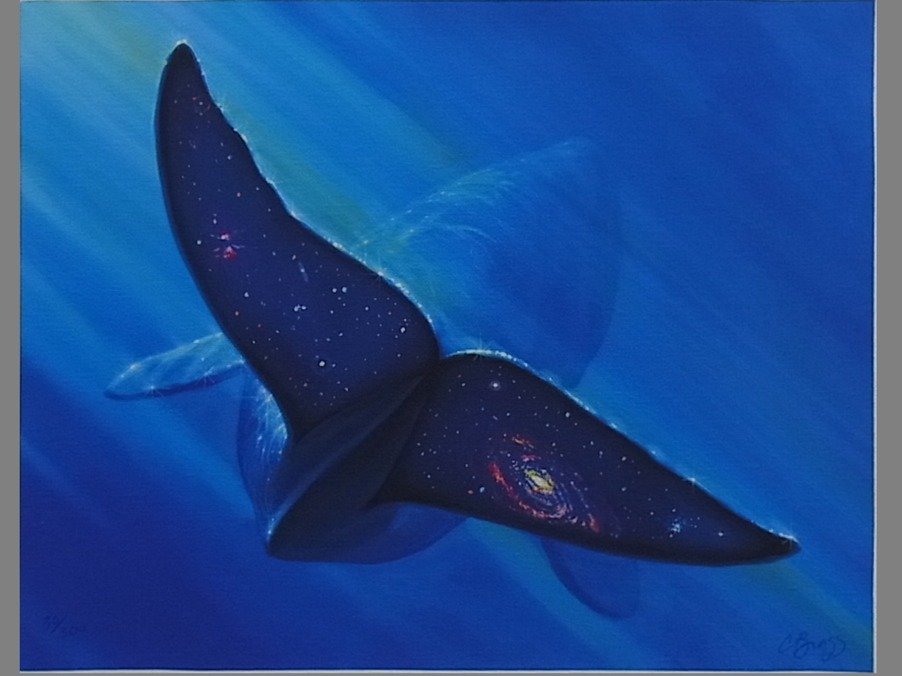 チャールズ・リン・ブラック　WHALE TAIL GALAXY